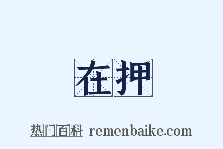 在押是什么意思的图片